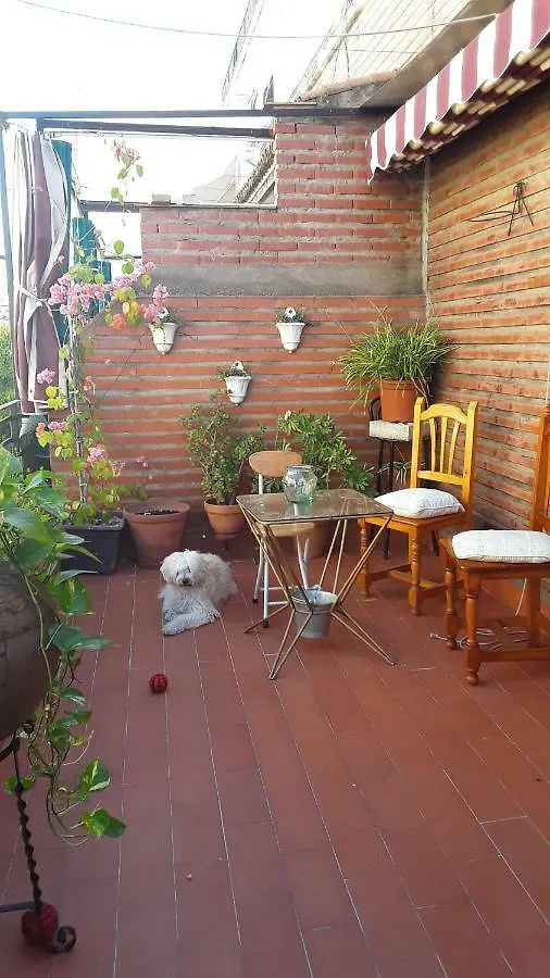 Homestay Beside The Roman Wall Apartment Cordoba Spain