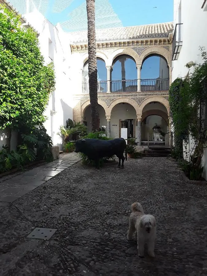 Beside The Roman Wall Cordoba Spain