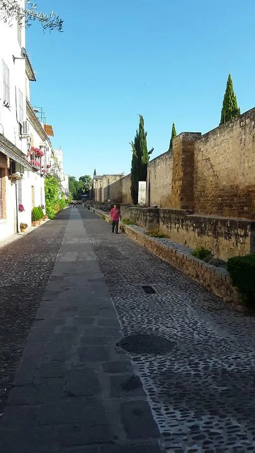 Beside The Roman Wall Cordoba Homestay